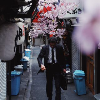 Peter Hammarberg, Foto, Galleri13